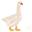wannian-