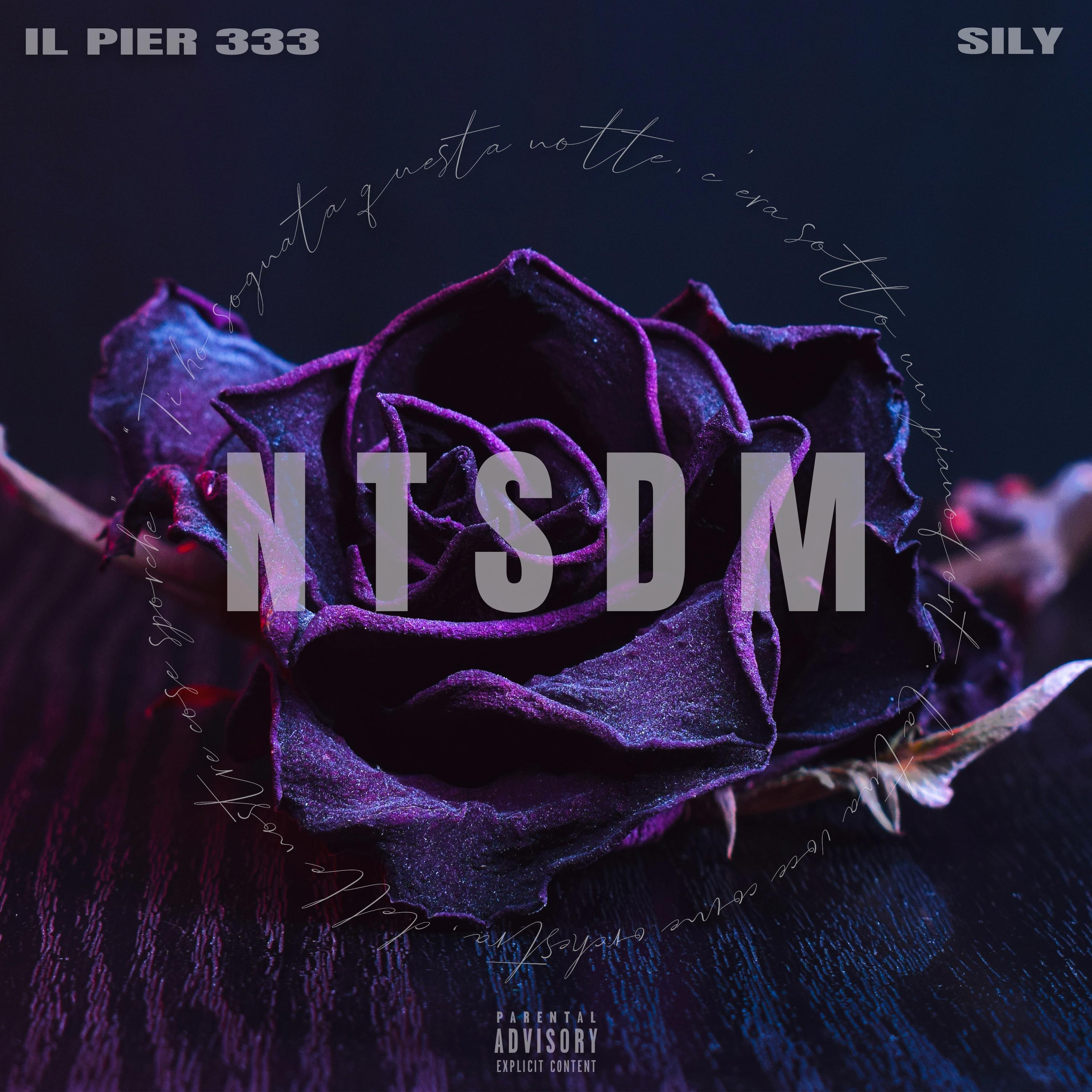 NTSDM