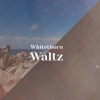 Whitethorn Waltz