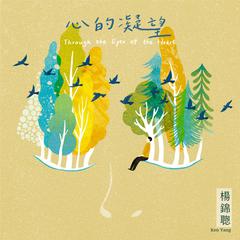 心的凝望