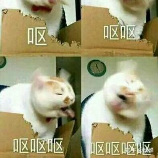那些抄袭侵权的歌（对比看评论