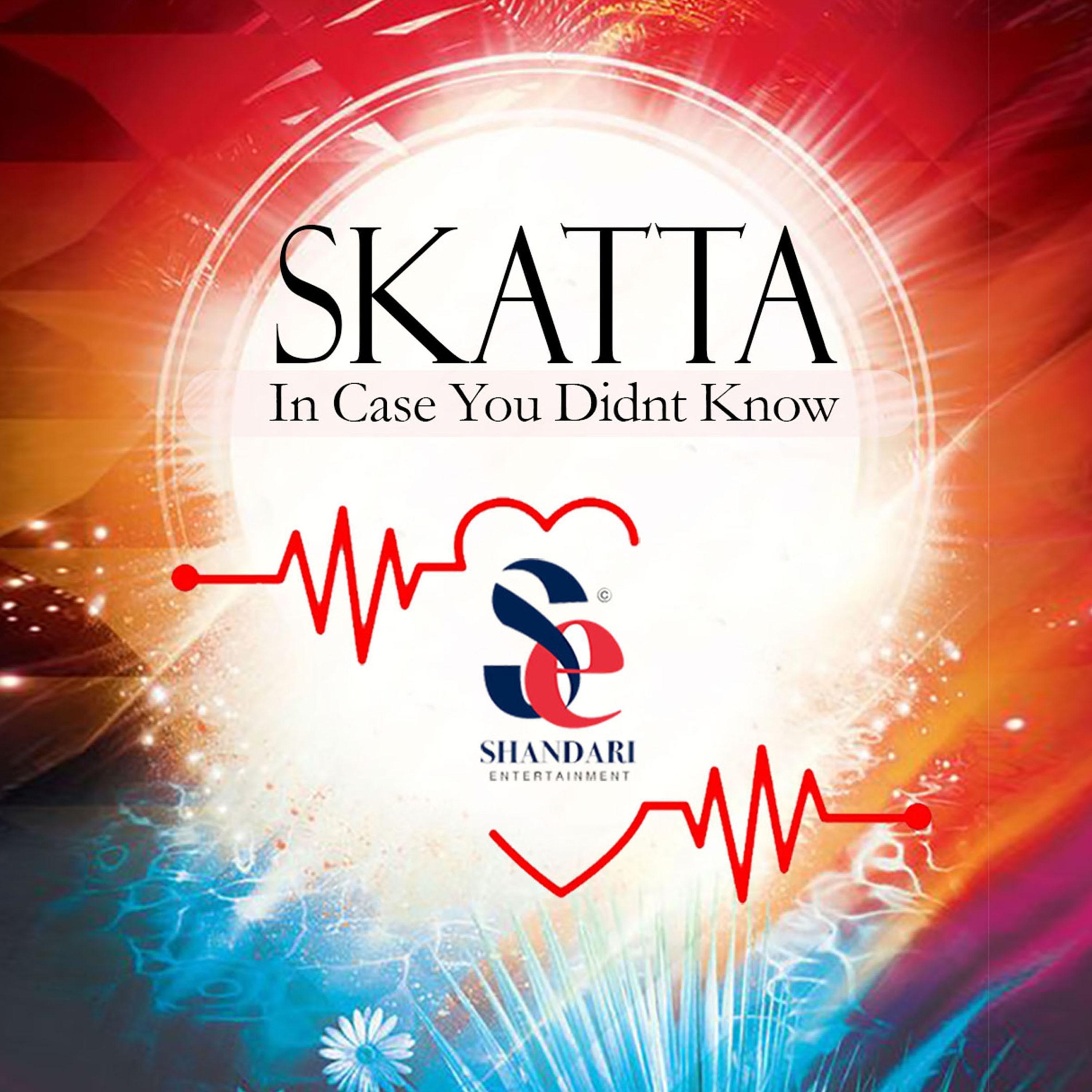 Skatta - In Case You Didn't Know