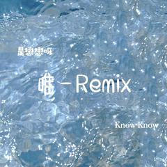 KnowKnow-唯一（feat.李懋）（是懋懋呀（李懋） / KnowKnow remix）