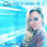 Voice Of Suanda, Vol. 3专辑