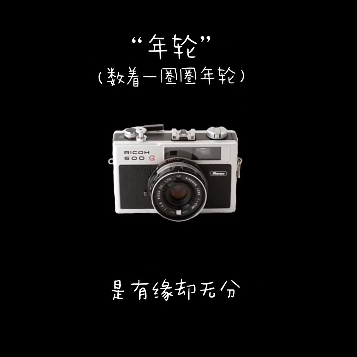 荒草丛生的青春