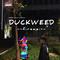 DUCKWEED专辑