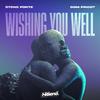 Stone Forte - Wishing You Well