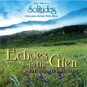 Echoes in the Glen: Celtic Aires & Ballads专辑