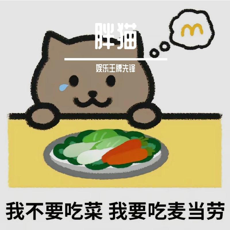 胖猫