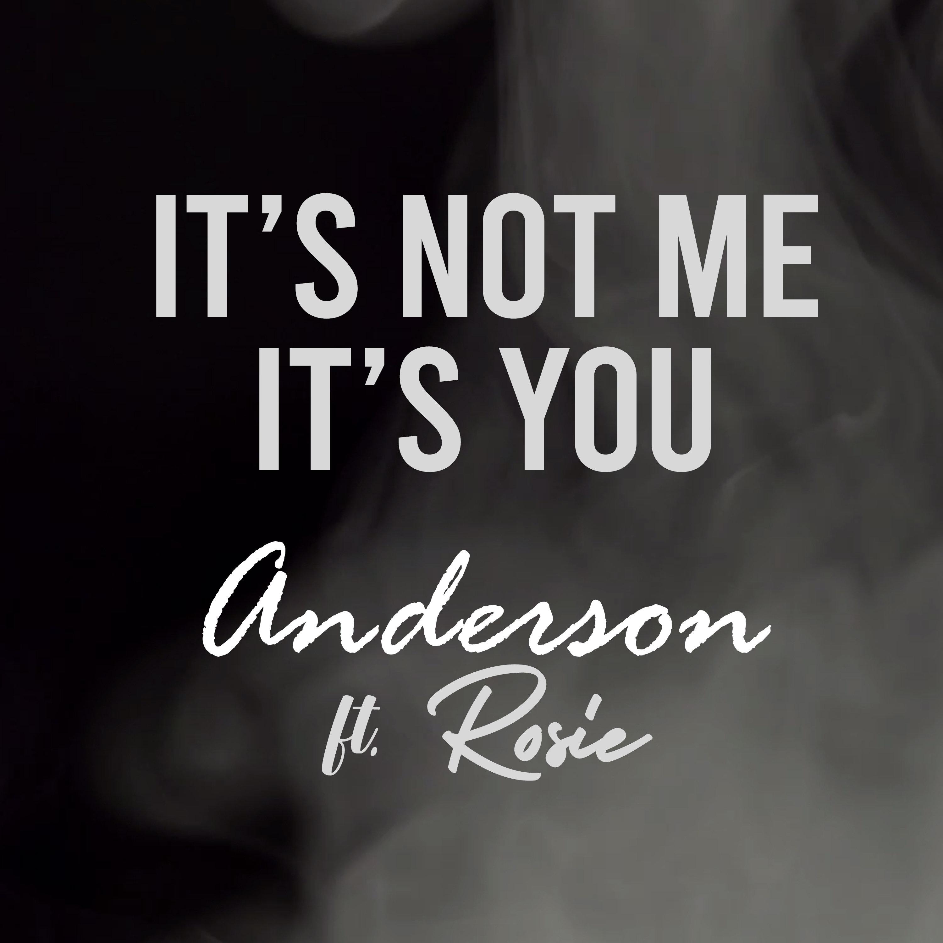 Anderson - It's Not Me It's You