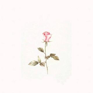 比方糖还甜的是恋爱中的小情歌