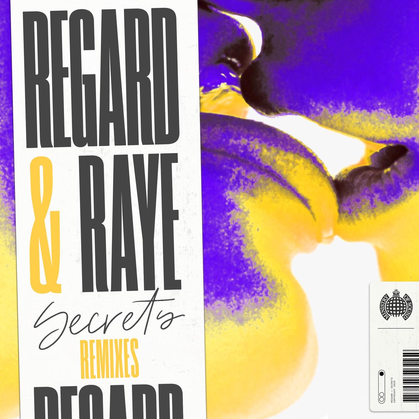 Regard - Secrets (Tom Field Remix)