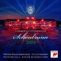 Turandot: Nessun dorma专辑