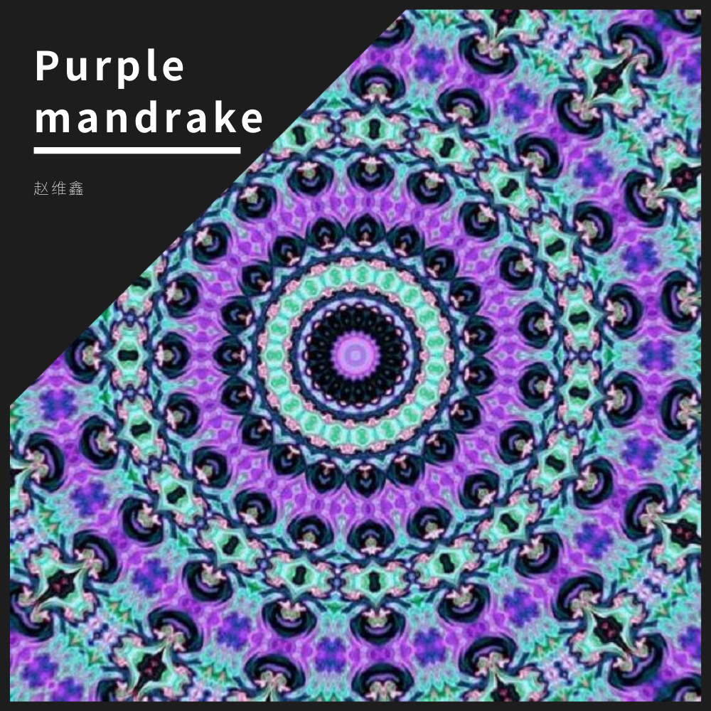 Purple mandrake专辑