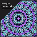 Purple mandrake专辑