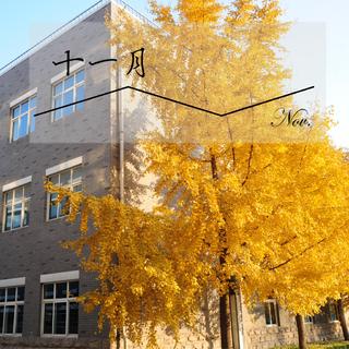 2017~2018学年度 11月下课铃