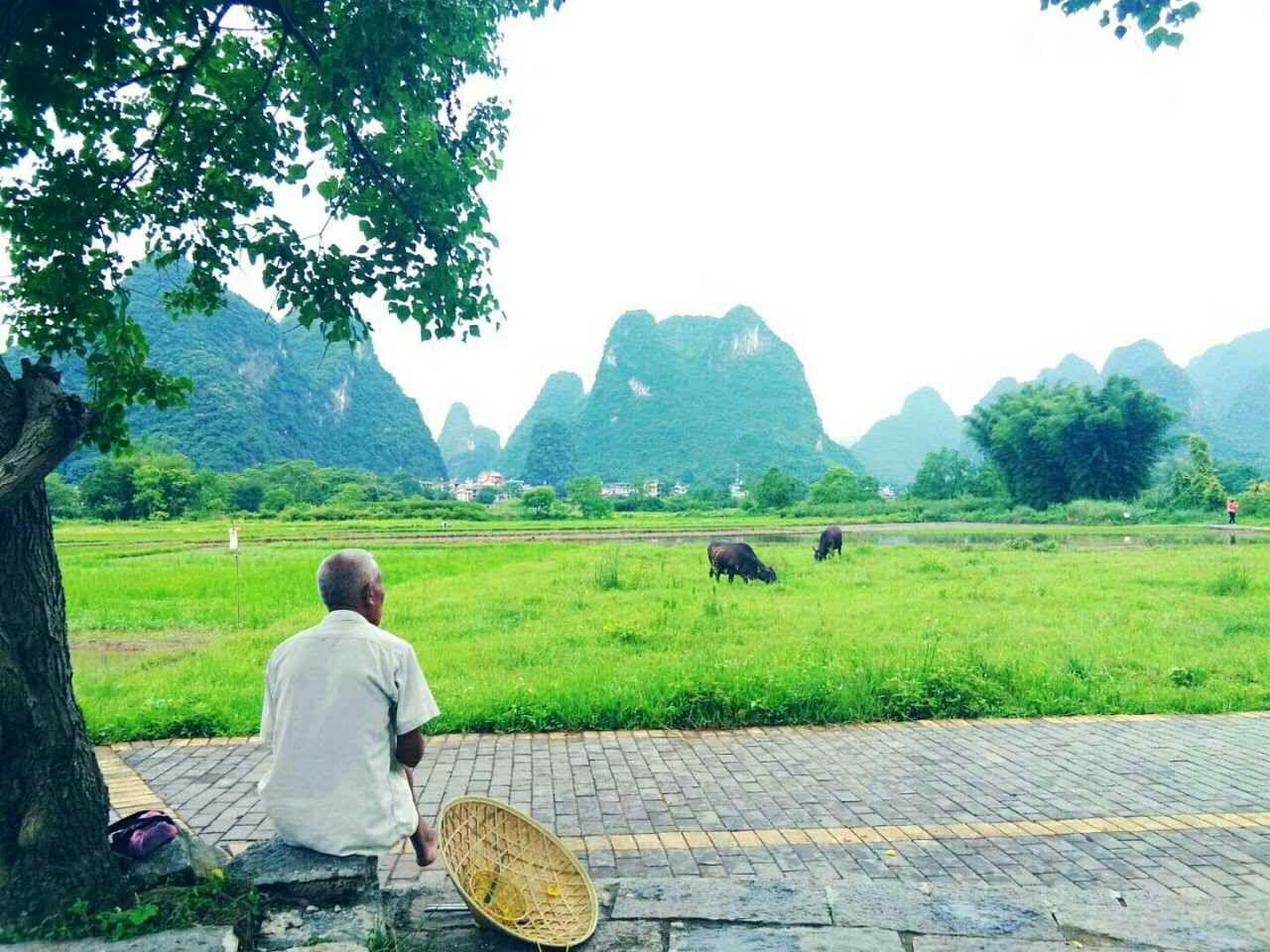 秋涼，家牛喊娘咯专辑