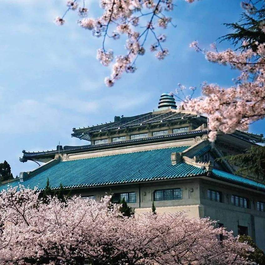 珞珈山行