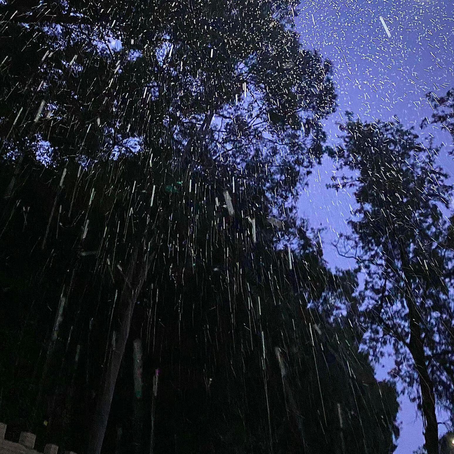 几年后某个雨天的相遇...