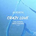 Crazy Love (Delayers x Who Knows Remix)专辑