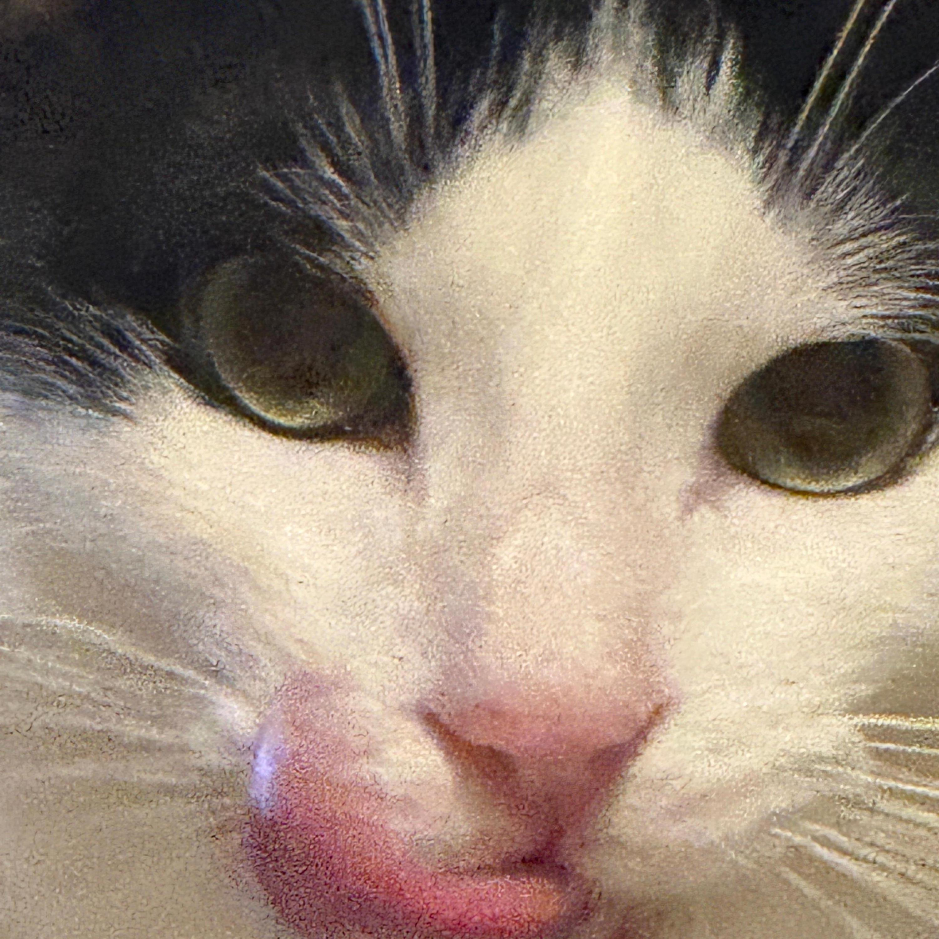 Freaks VS Can't Hold Us Epic (Aike1 Edit)