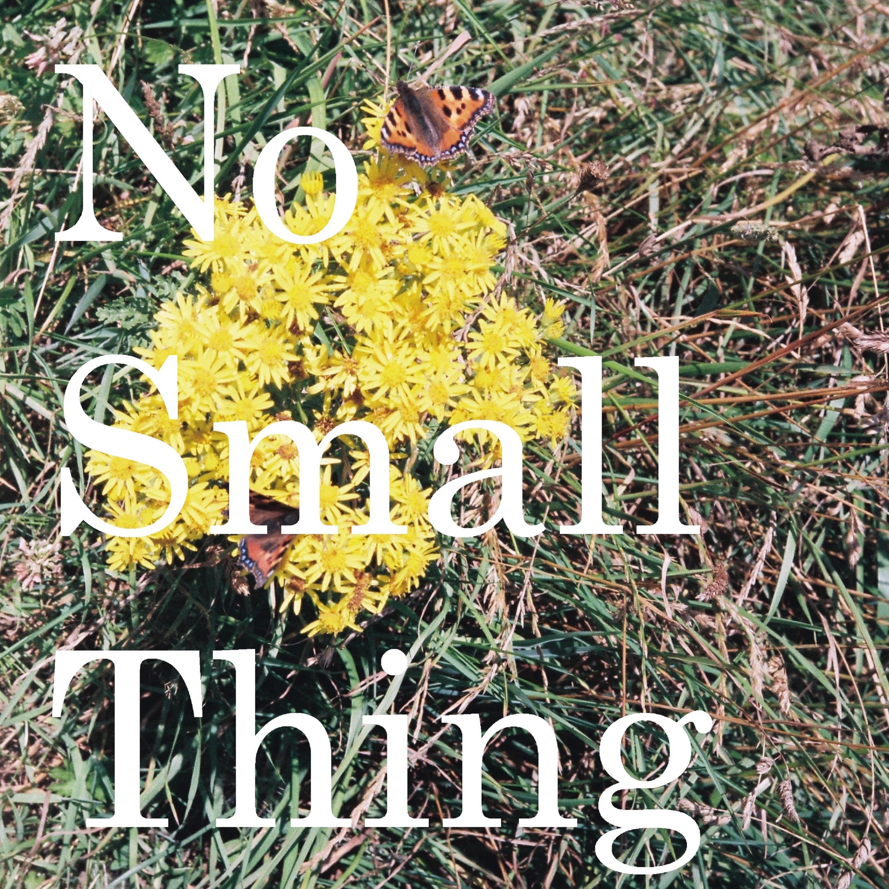 No Small Thing