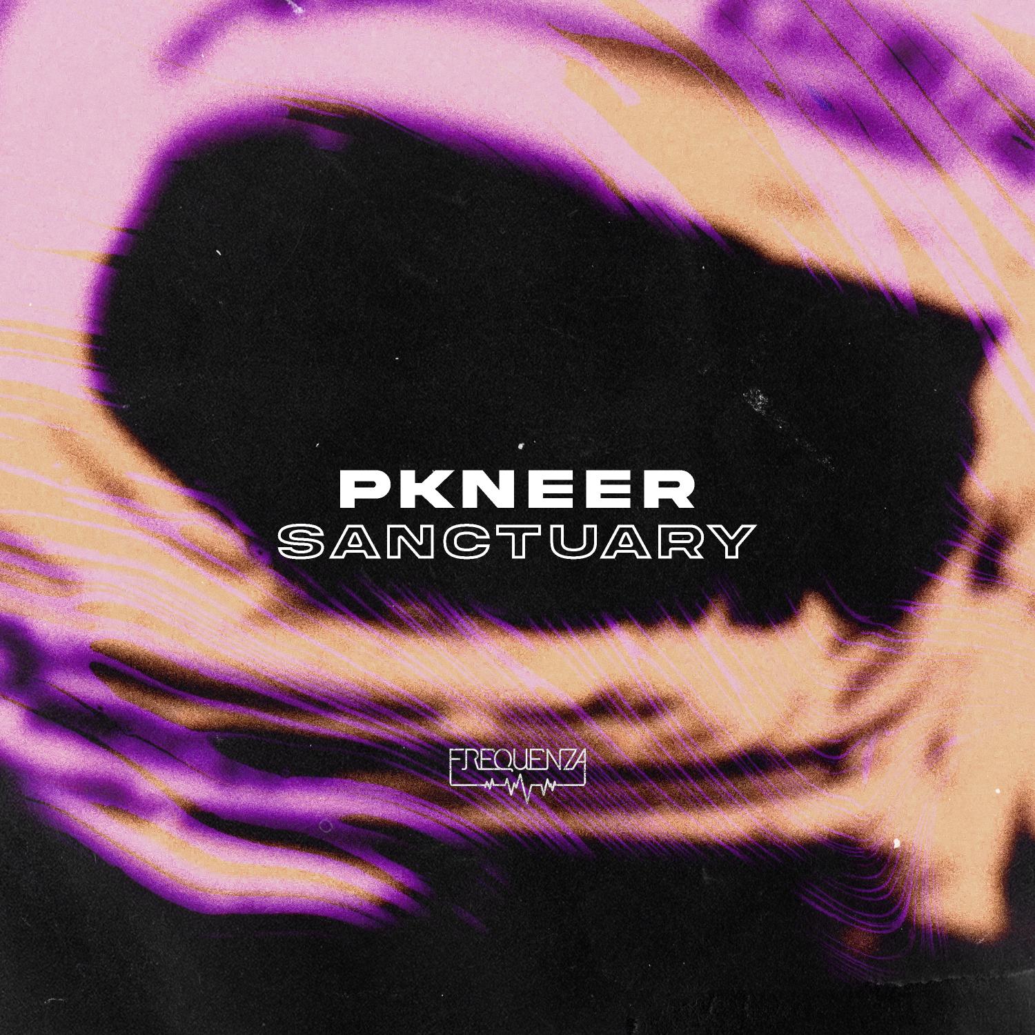 PKNeer - Sanctuary (Original Mix)