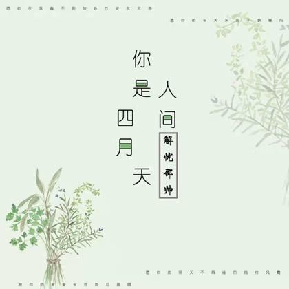 你是人间四月天封面图