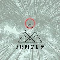 男伴奏 高品质 韩语混音大伴唱 千明勋-Jungle