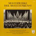 Meisterwerke der Motettenkunst - Chormusik aus fünf Jahrhunderten专辑