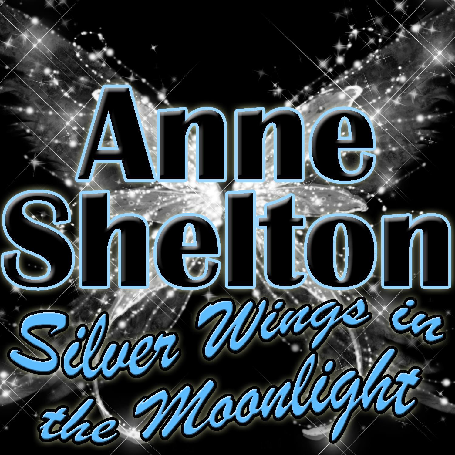 Silver Wings in the Moonlight