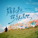 摘朵马兰你就走吧专辑