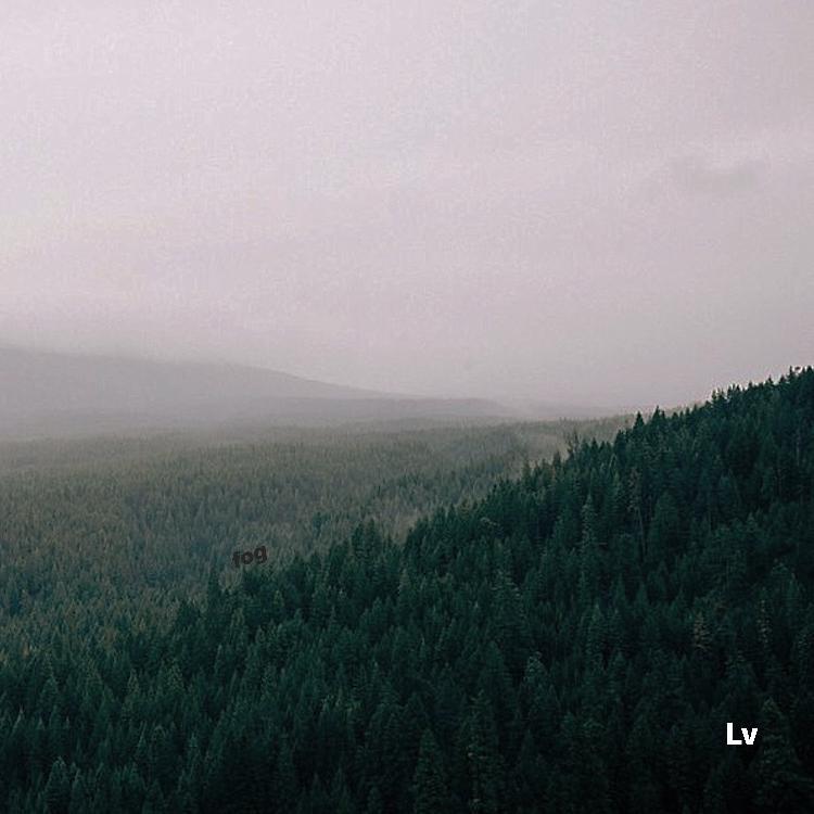 Fog