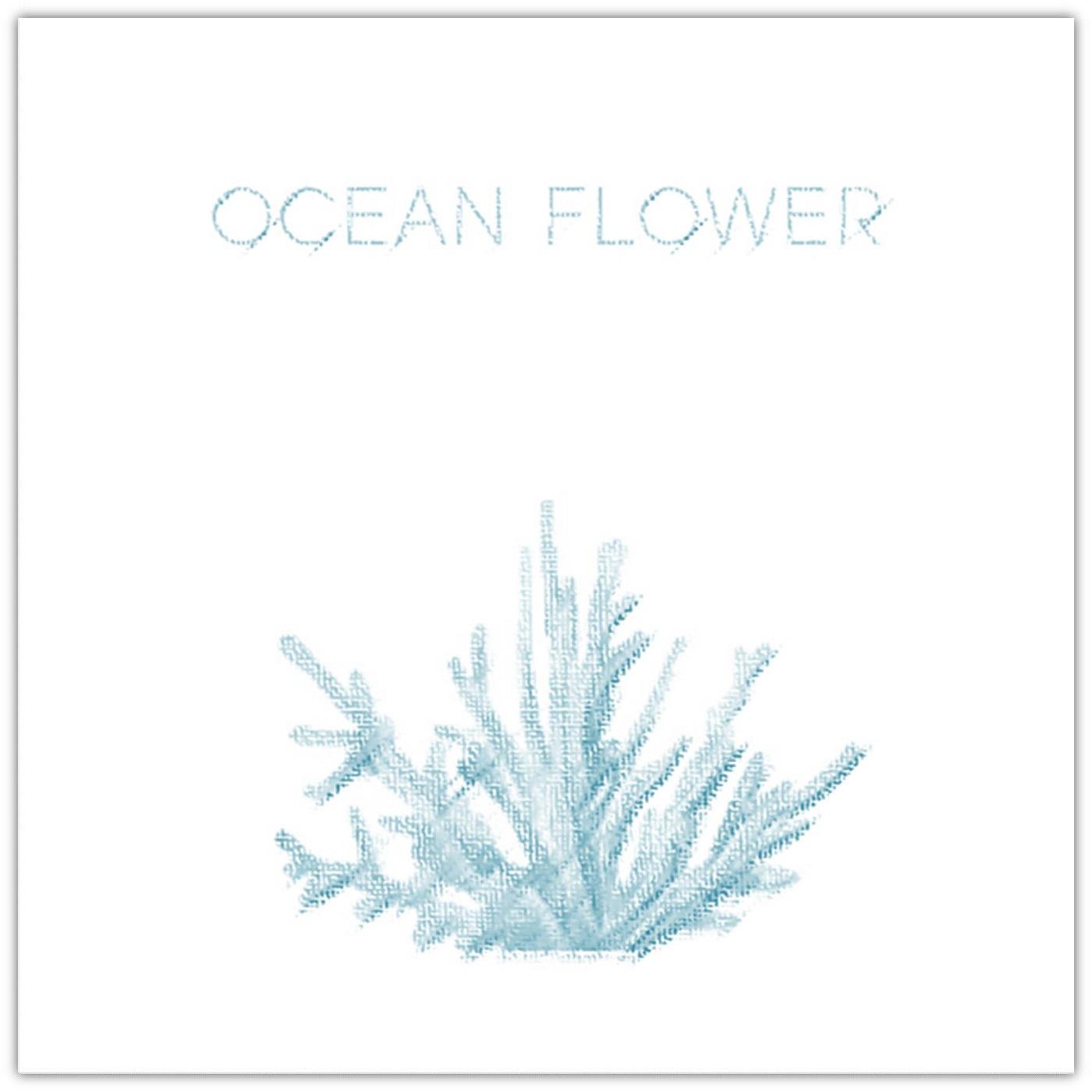 Ocean Flower专辑