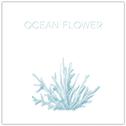 Ocean Flower