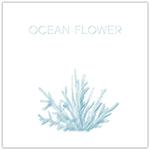 Ocean Flower专辑