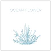 Ocean Flower