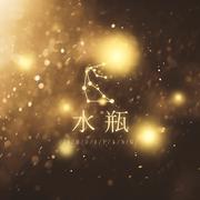 水瓶