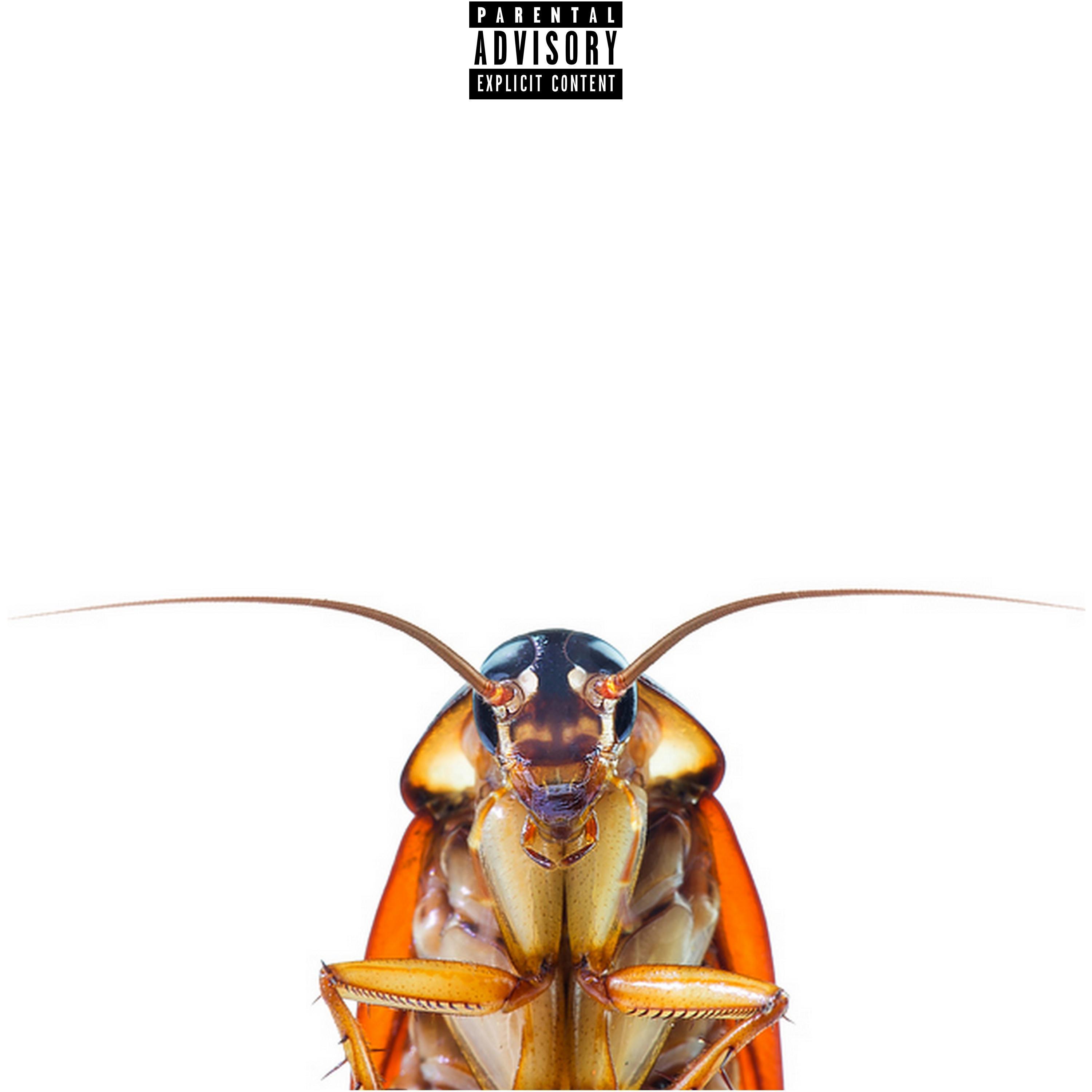 Cockroach (**** IT UP)