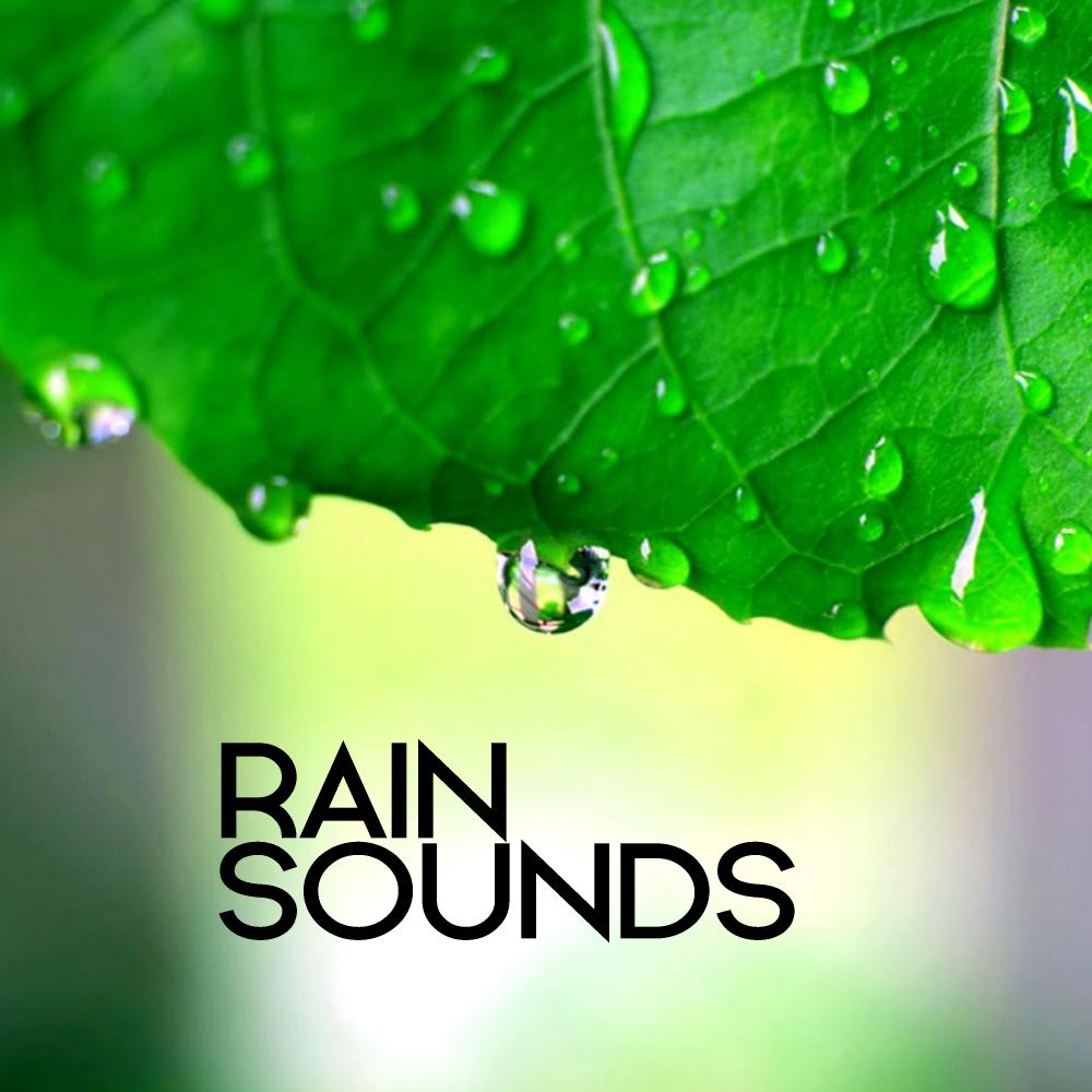 Rain Sounds专辑