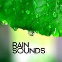 Rain Sounds专辑