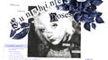 sunshine and roses专辑