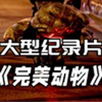 Wuli繁繁-完美信号 伴奏 无人声 伴奏 更新AI版