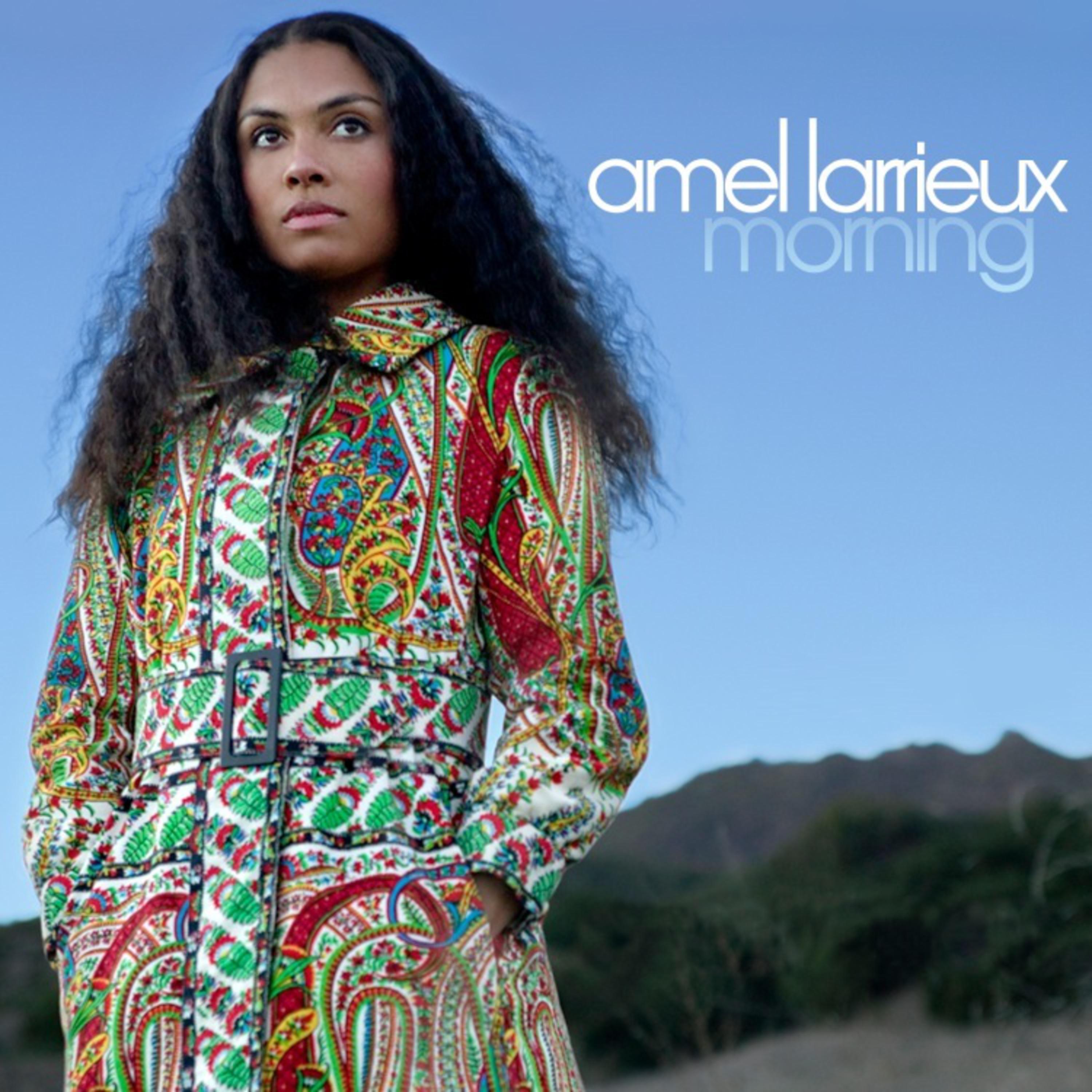 Amel Larrieux - Unanswered Question