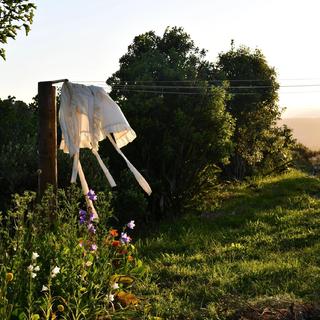 绿野呼吸丨借半日闲暇 把光阴轻倚成歌