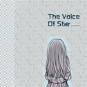The Voice Of Star专辑