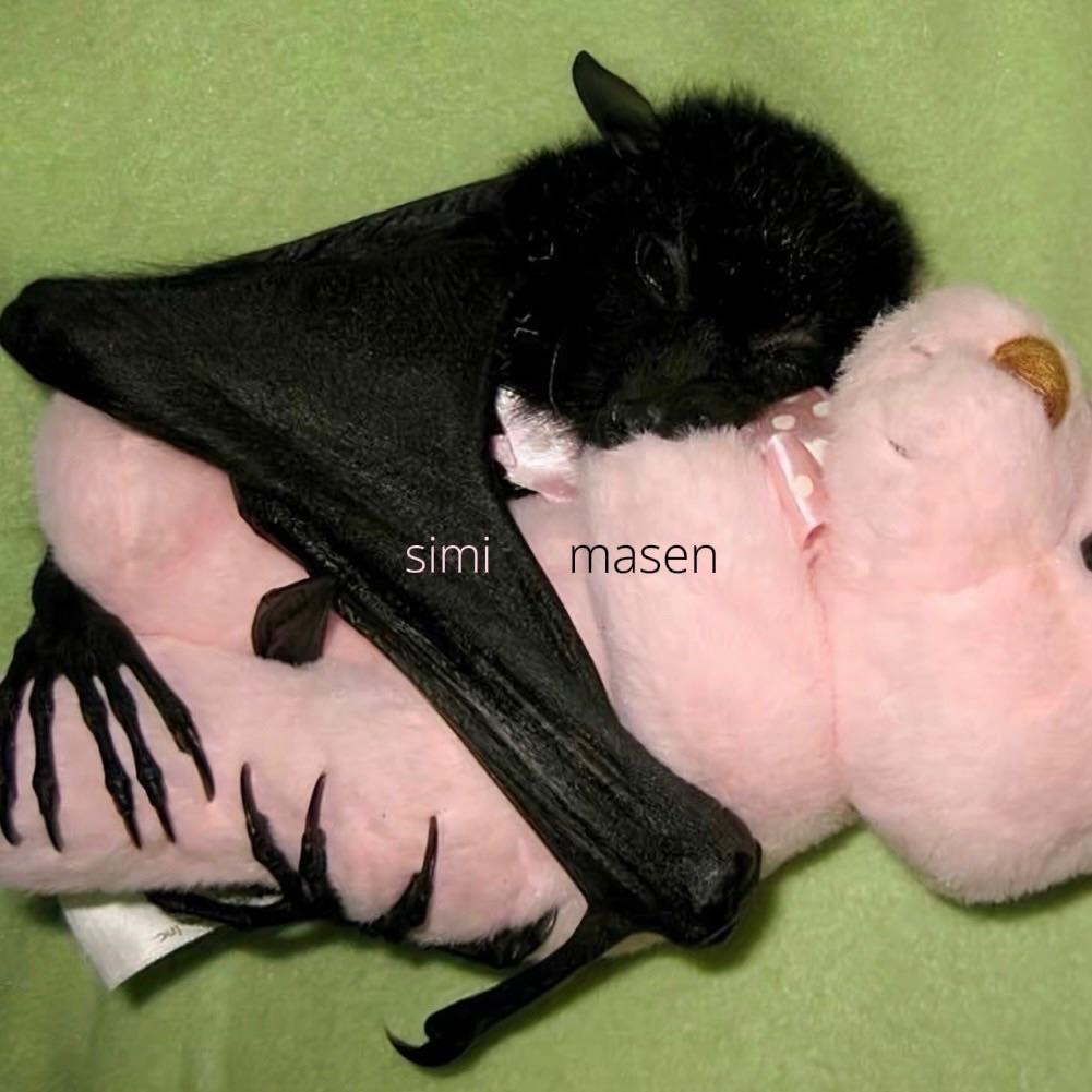 simi masen
