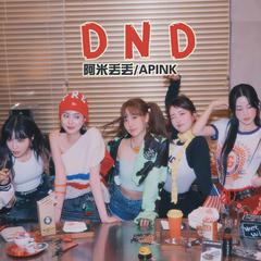 Apink《D N D》