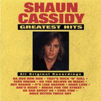 SHAUN CASSIDY - DA DOO RON RON