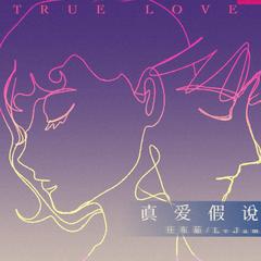 真爱假说 (氛围版 / 0.6x)